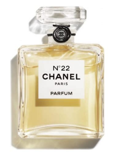 where can you buy chanel 22|buy chanel 22 perfume online.